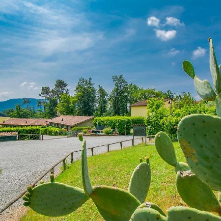 Holiday Home I Pini By Interhome San Macario In Piano Bagian luar foto